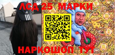 индика Партизанск