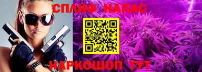 индика Партизанск