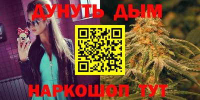 индика Партизанск