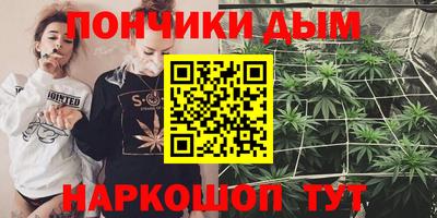 индика Партизанск