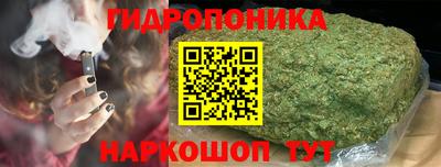 индика Партизанск