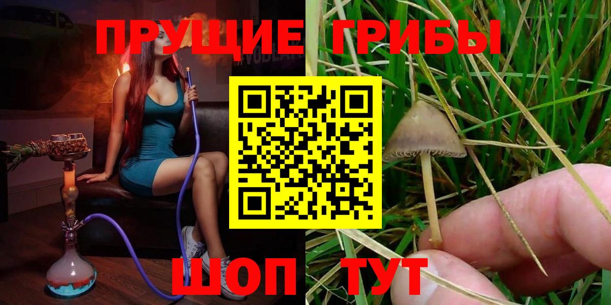 Галлюциногенные грибы мицелий  Вход с VPN  наркотики  Ступино 